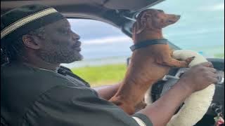 I LOVE YOU - TOKO IRIE