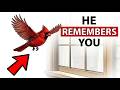 Your Backyard Birds Remember Every Time You've Seen Them (And They Been Watching You for Months)