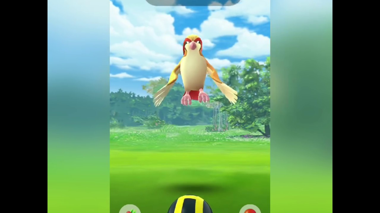 Curve Ball Excellent Throws For Catch rate or Quest YouTube