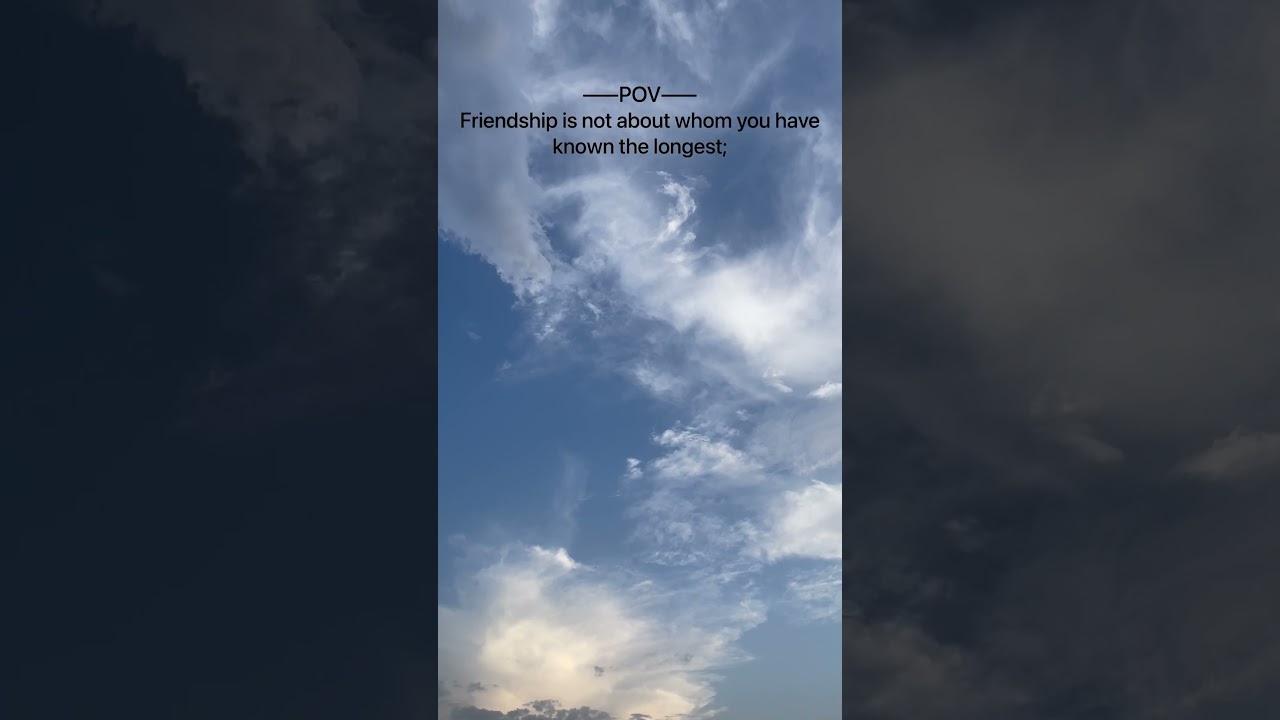 Friendship quotes    | 