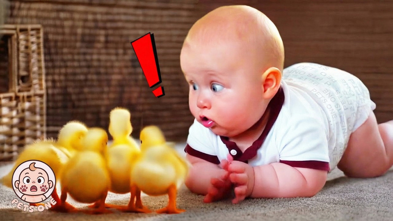 Try Not To Laugh: Babies Meet Farm Animals 🤣 Funny Baby Videos