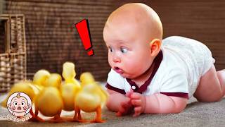 Download Lagu Try Not To Laugh: Babies Meet Farm Animals 🤣 Funny Baby Videos MP3