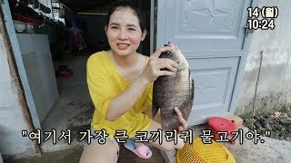 베트남 동생이 요리해준 시골에서 가장 큰 코끼리귀 생선 튀김!!