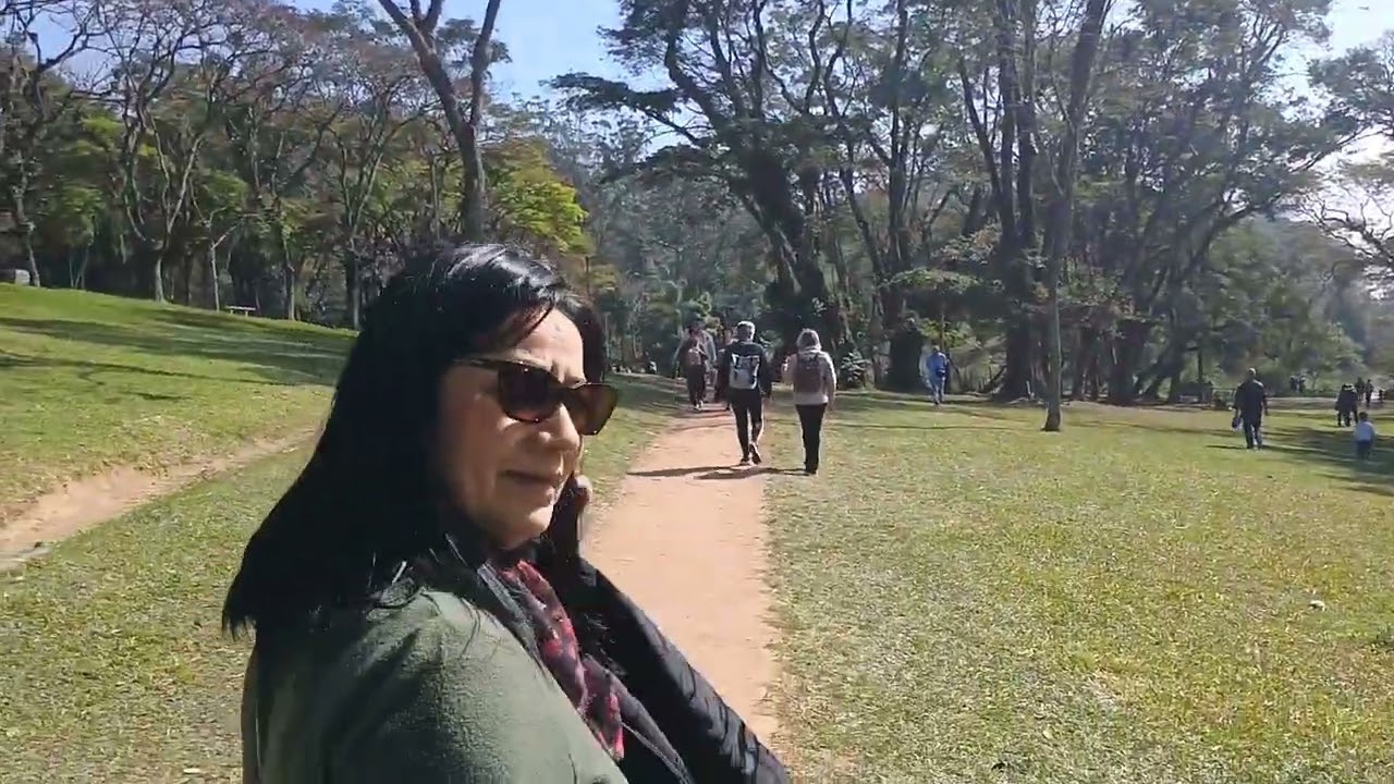 Festa das Cerejeiras. 