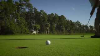 AimPoint Green Reading - Learn How To Make Everything with AimPoint