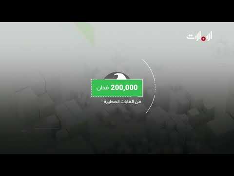 تعرفوا على أهمية الغابات المطيرة المهددة بالإنقراض بيئتي