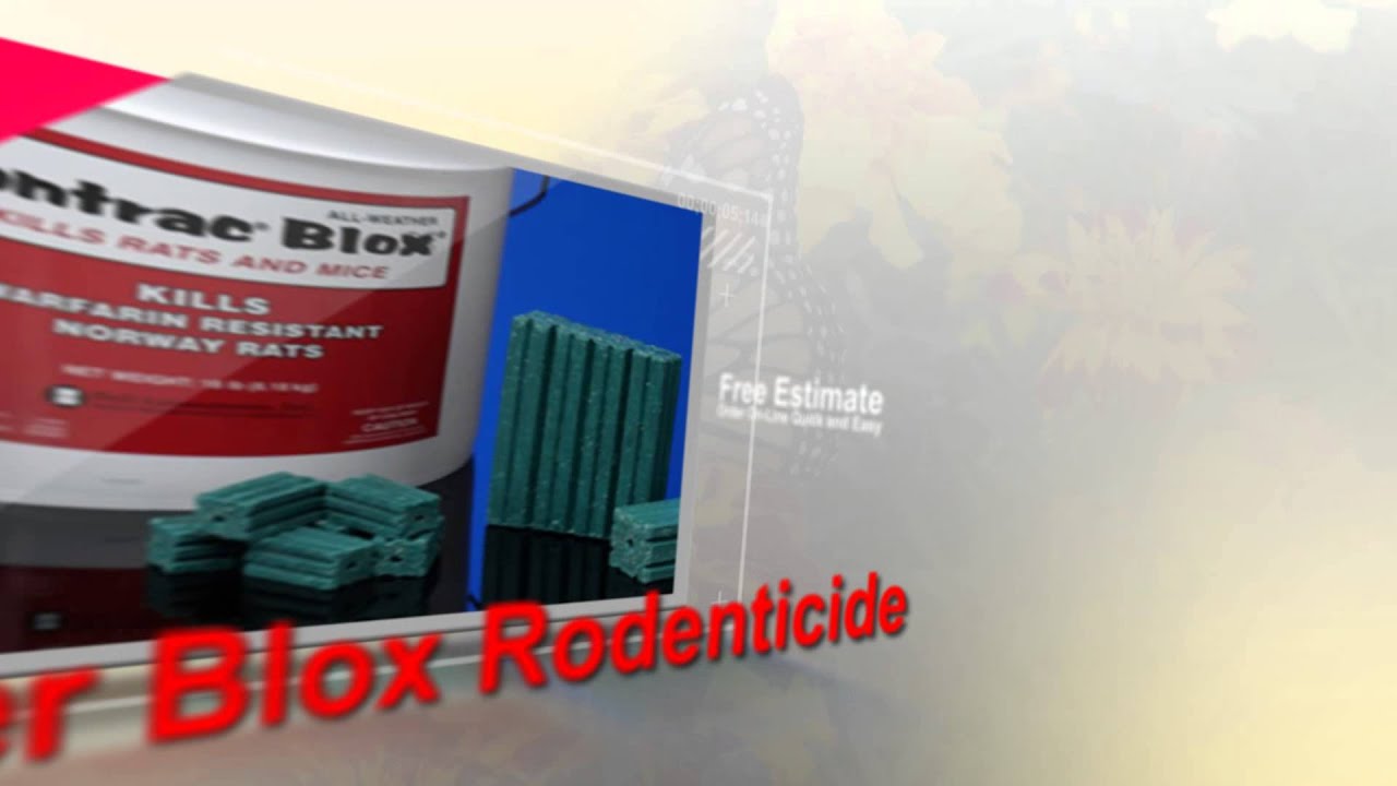 Pest and Birds Control