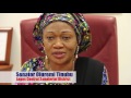 Sen. Remi Tinubu - Recess in Legislative Practice