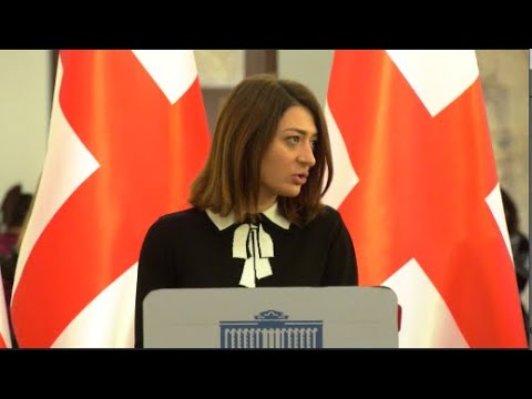 უნდა შევთანხმდეთ - კანონი ან  ყველასთვის კანონობს, ან შერჩევითი სამართალია - ანა ბუჩუკური