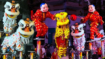 Múa Lân Sư Rồng Hay Nhất 2025 , LSR Vương Anh Đường diễn Ông Địa Múa Lân nhảy Mai Hoa Thung