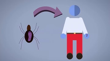 How are pathogens spread and controlled