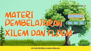 Materi Pembelajaran Xilem dan Floem