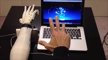 InMoov Leap Motion Control