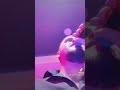 هم تحس بيا لمن افز محتاج حنيه 