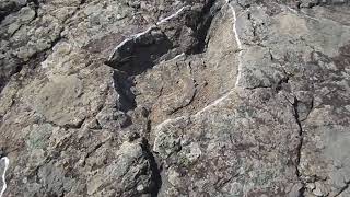 DINOSAURIOEN AZTARNAK (ICNITAS), La Pellejera  ( Hornillos de Cameros, Errioxa)