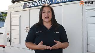 Disaster Preparedness for Pet Owners