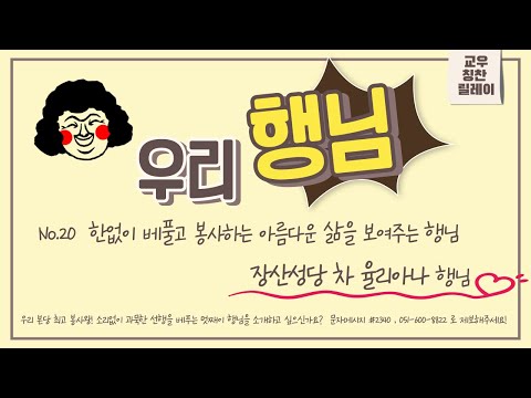 영상썸네일