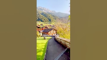 وان ربك لذوا فضلا على الناس /مقطع قران قصير تلاوة خاشعة بصوت الشيخ ماهر المعيقلي