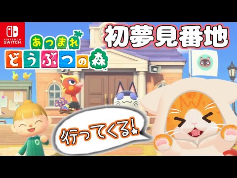 【#あつ森】Ninten島に行ってきます！【#Vtuber】