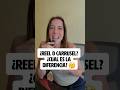 ¿Reel o Carrusel? cual es la diferencia?