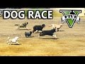 GTA V - Dog Race