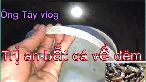 Bắt cá bống cát lòng hồ trị an