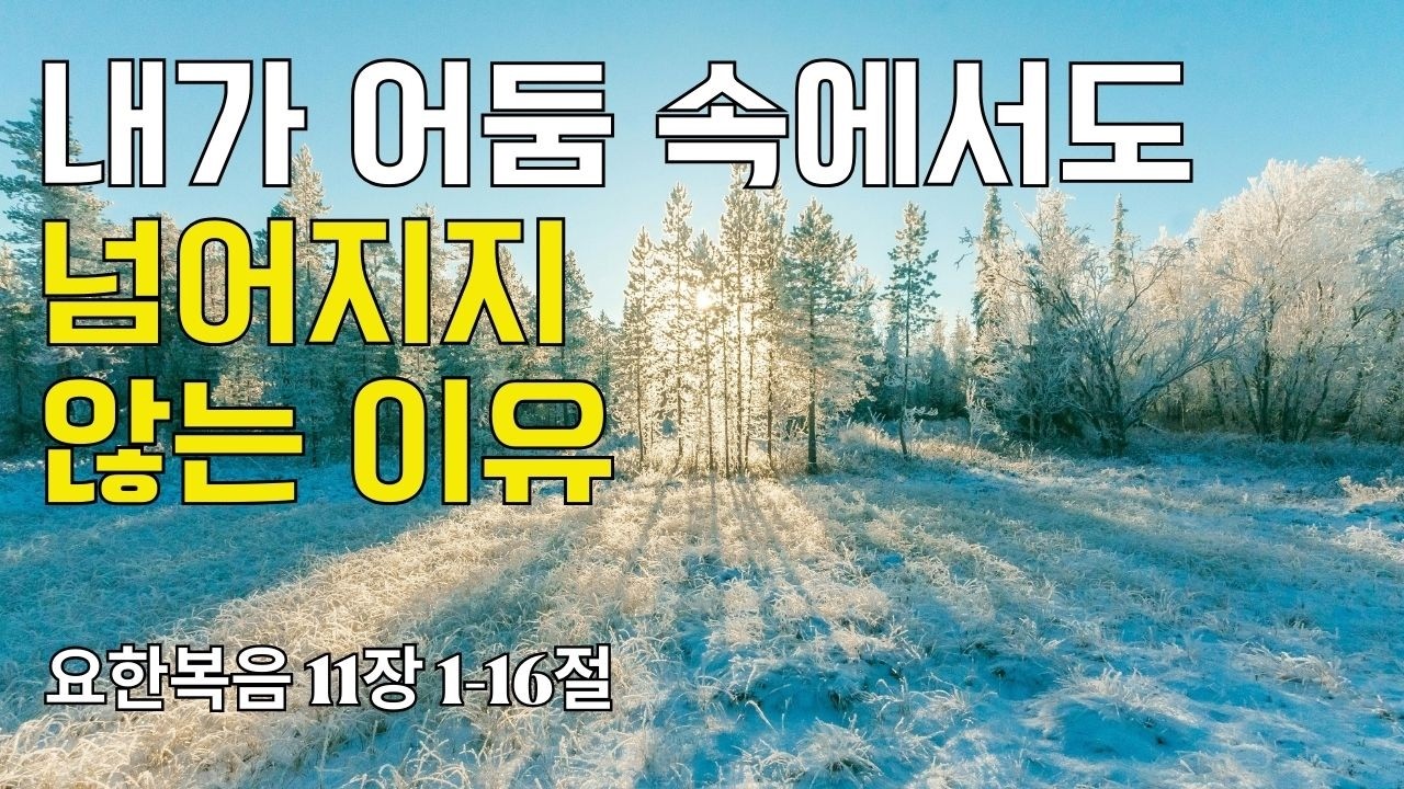 [ 매일성경 브런치 ] 요한복음 11장 1-16절(20260306)｜내가 어둠 속에서도 넘어지지 않는 이유｜큐티｜예배