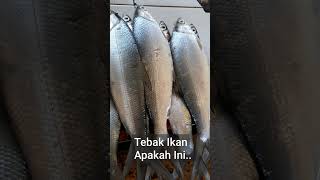 Harga Ikan Bandeng 1kilo 36rb Geas.. Pasar GBP, Setu Bekasi 4 Oktober 2022