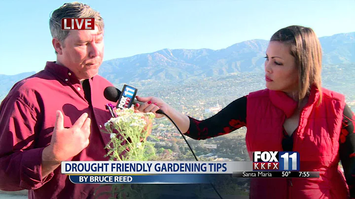 KKFX: Drought Friendly Gardening Tips | Bruce Reed