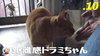 おいのり猫　招き猫　作家さん　レア　ドラミちゃん好きな方にも　金彩 距離感ドラミちゃん - YouTube