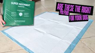 What you need to know before you buy these Dog Pee Pads