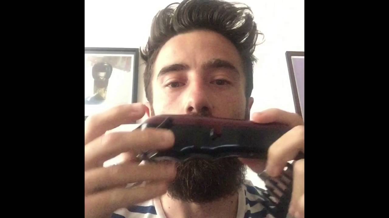 wahl magic clip for beard