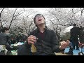 代々木公園で1人花見しながら粉雪
