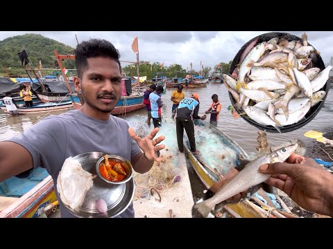 बंदरावरून नेलेल्या मच्छीचे जेवन आणि ईंदापूर दौरा । Konkan Fish Near Sea | Indapur City Exploaring 