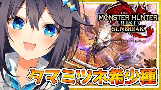 【モンハンライズサンブレイク】アプデ希少種に会いたい！【にじさんじ／空星きらめ】