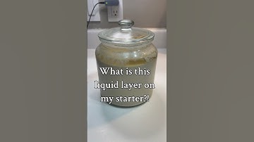 #sourdoughstarter #hooch #sourdoughbread #sourdoughrecipe #sourdough