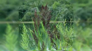 Day In Pictures 922025