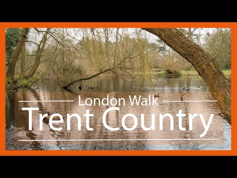 Trent Country Park and Enfield Chase walk | Drone 4K | 🇬🇧 Hiking UK | England