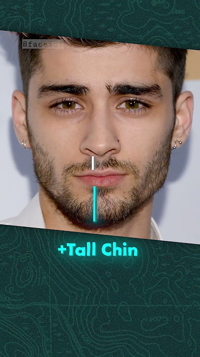 How attractive is Zayn Malik?