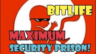 Bitlife 8x8 Prison Escape by bitlife523 on DeviantArt