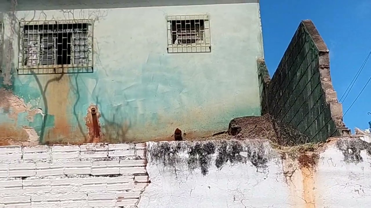 17 de janeiro de 2026