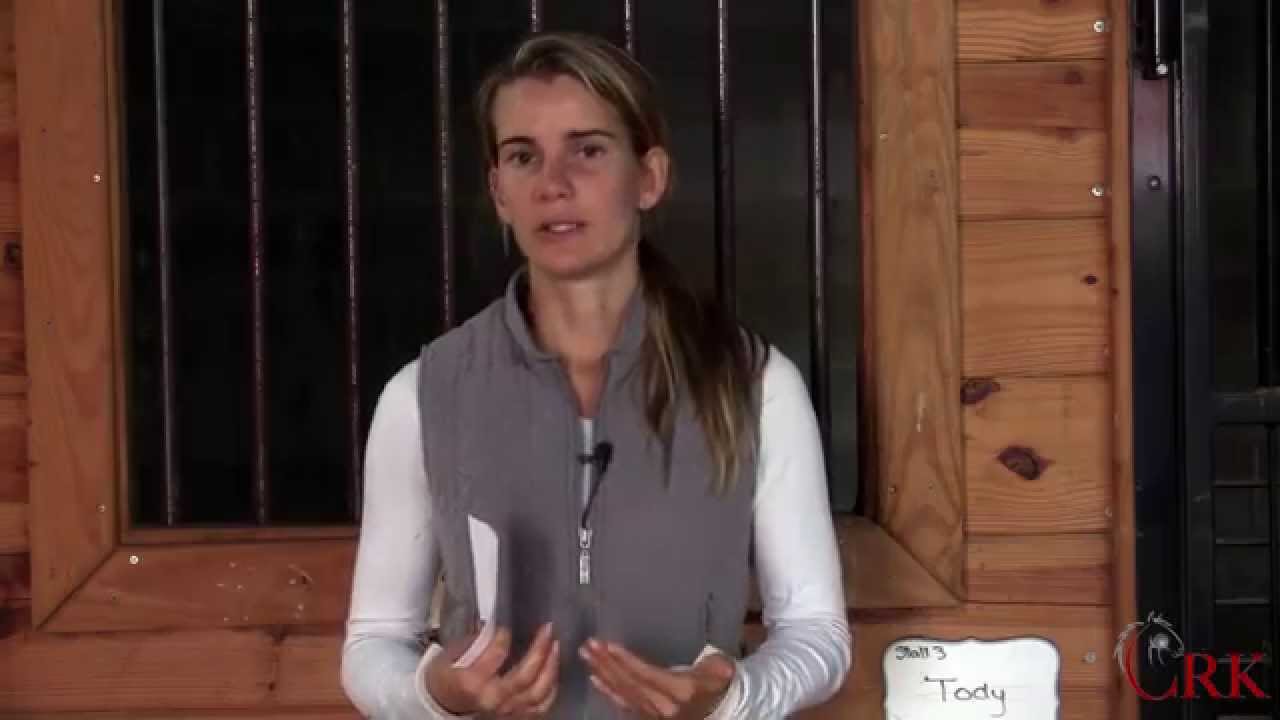 Teaching an Old Horse New Tricks, Head Tossing, and Handling Hot Horses