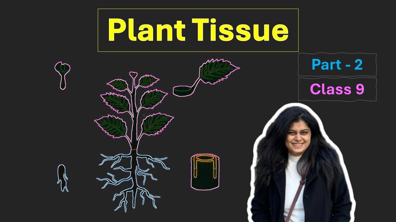 Plant Tissue Part 2 | Permanent Tissue | Class-9