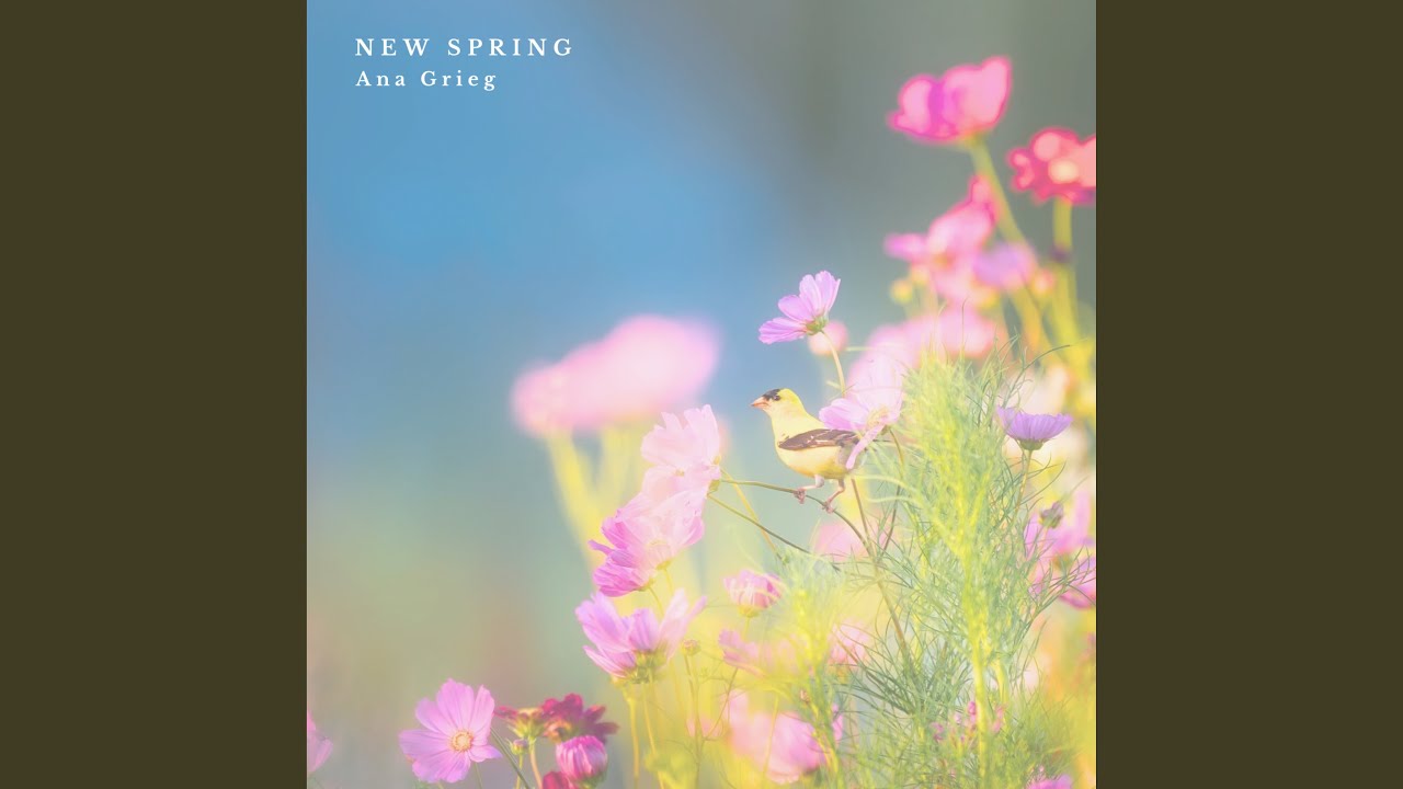 New Spring