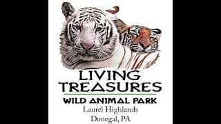 Client Spotlight - Living Treasures Laurel Highlands