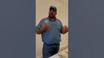 InnerPlant’s CropVoice System: Giving Growers Early Warnings on Crop Disease