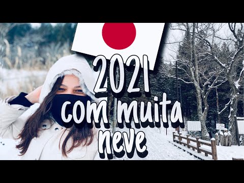 Vídeo: O Melhor Molho De Soja Japonês é Envelhecido Na Neve Na Prefeitura De Niigata