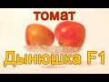 Томат Дыневый мёд F1, как ласково мы его называем Дынюшка!