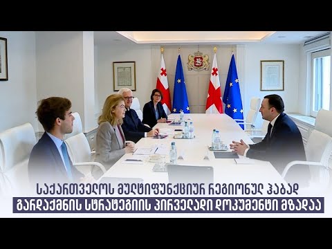 საქართველოს მულტიფუნქციურ რეგიონულ ჰაბად გარდაქმნის სტრატეგიის პირველადი დოკუმენტი მზადაა