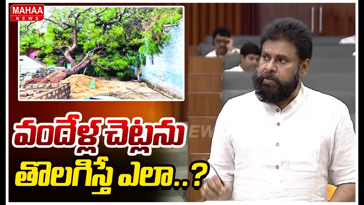 వందేళ్ల చెట్లను తొలగిస్తే ఎలా..? Deputy CM Pawan Kalyan | Mahaa News